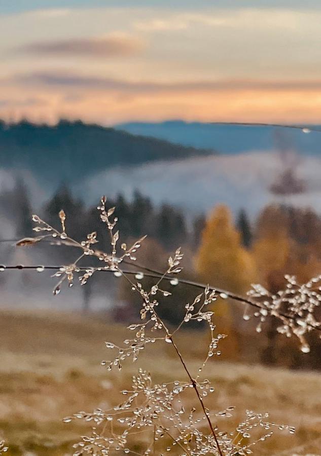 Apartman V Beskydech Staré Hamry Esterno foto