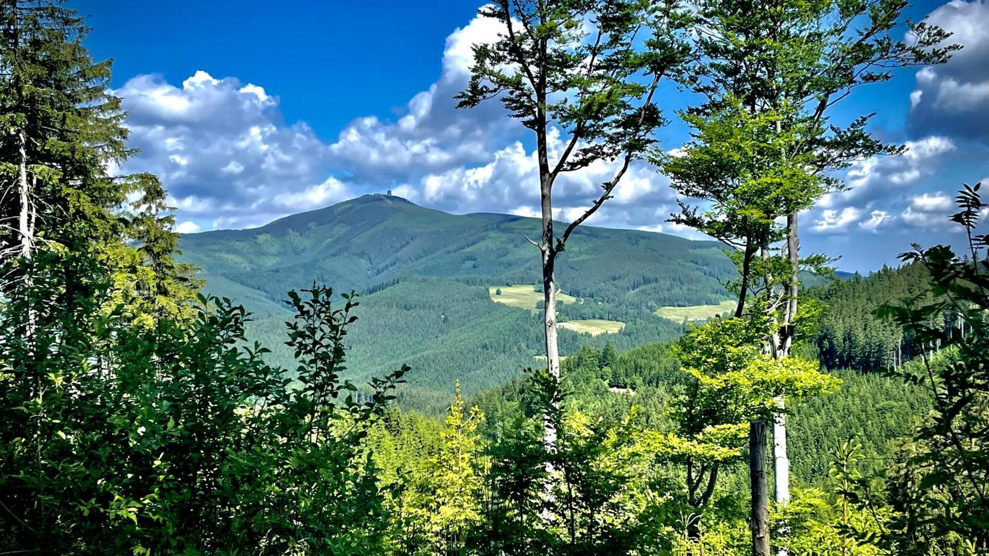 Apartman V Beskydech Staré Hamry Esterno foto