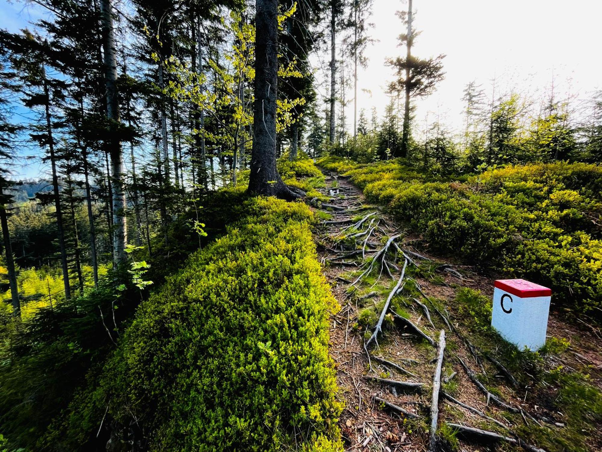 Apartman V Beskydech Staré Hamry Esterno foto